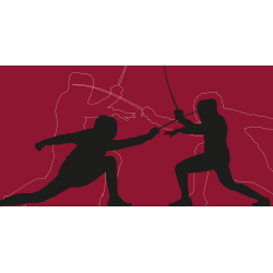 Members and Visitors Fees